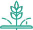 icono-descrip-5-epecialidad 1